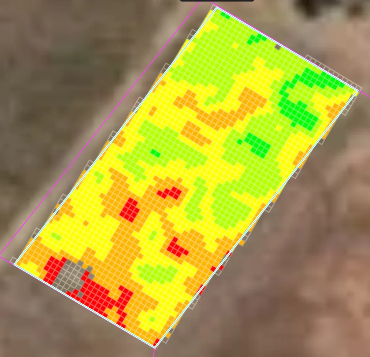 Gridded NDVI heatmap of a vineyard block within its boundary, ranging from red through yellow to green