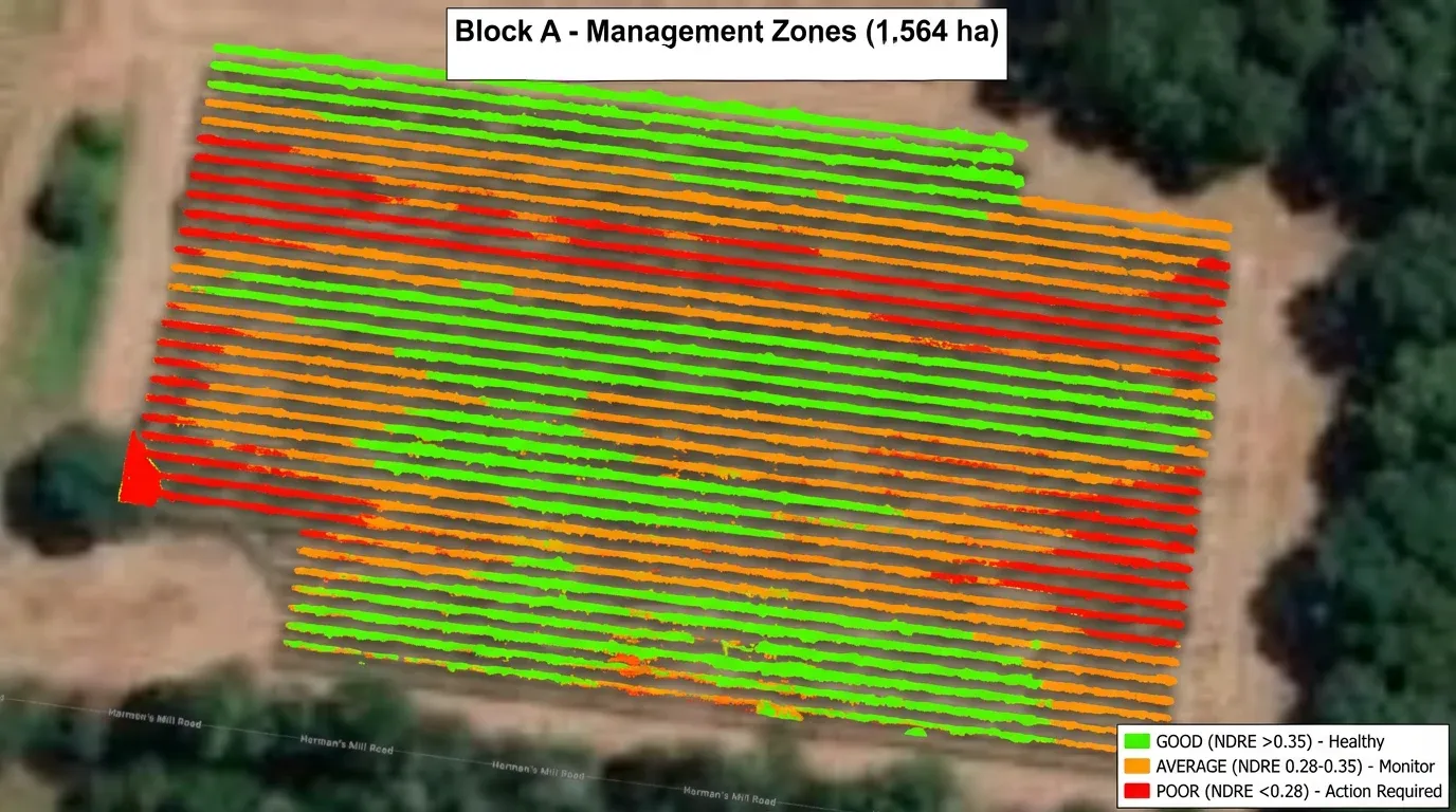 Drone NDRE management-zone map of a vineyard block — rows classified green (good), orange (average) and red (poor) over satellite imagery